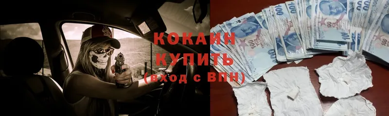 COCAIN Fish Scale Уржум