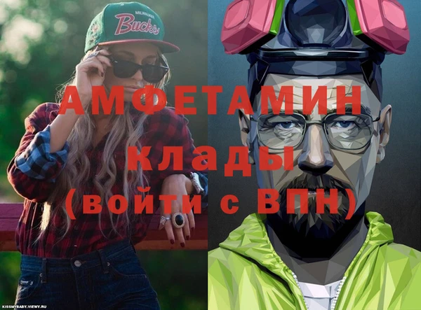 гидра Няндома