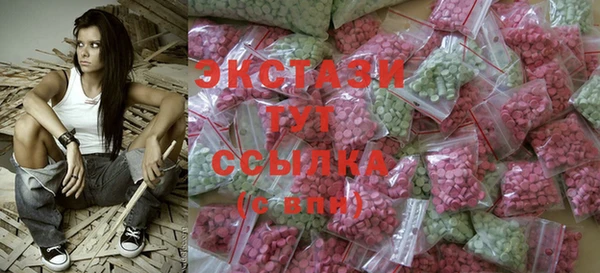 гидра Няндома