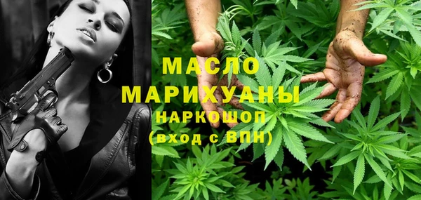 гидра Няндома