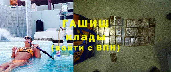 гидра Няндома