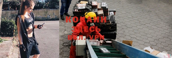 гидра Няндома