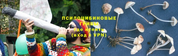 mdpv Нязепетровск