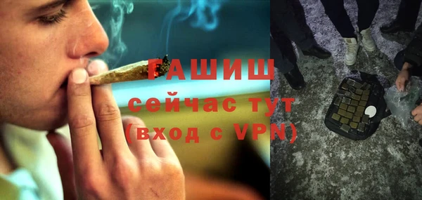 гидра Няндома
