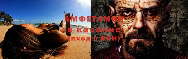 гидра Няндома