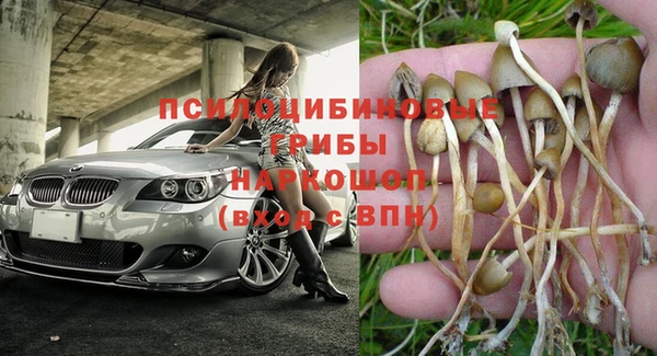 гидра Няндома