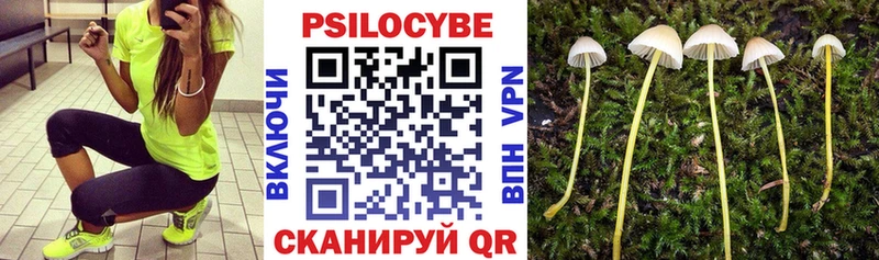 Псилоцибиновые грибы мухоморы  Уржум 