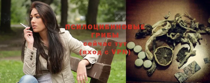 гидра вход  Уржум  Галлюциногенные грибы Psilocybe 